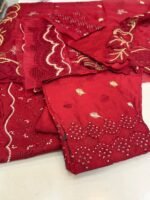 Ruby Chikankari Embroidered Luxury Ensemble - Image 3