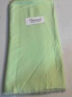 Bareeza Karandi Suit – Elegant Pastel Green Fabric - Image 2